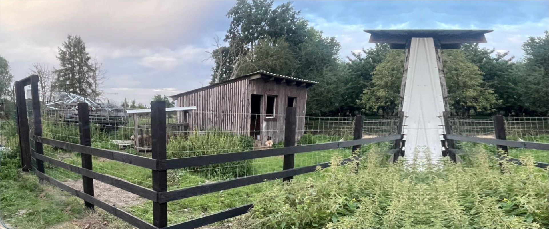 Pferde auf dem Gnadenhof fressen gemeinsam Heu von einem großen Ballen.